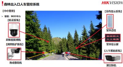 森林出入库人车管控系统