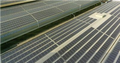 大型并网工程案例