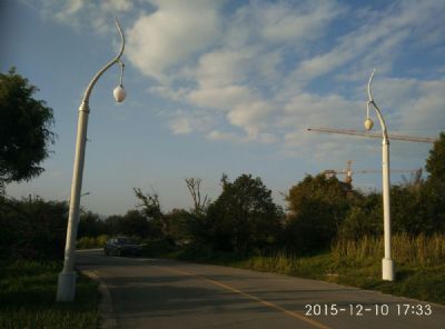 傣族路灯孔雀头