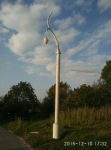 傣族路灯孔雀头