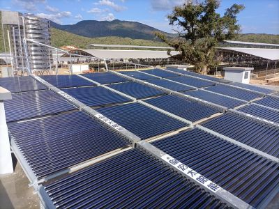 5590_5622真空管集中式工程案例（畜牧业）